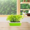 Home Garden Hydroponic Growing Box Bean Pea Wheat Seedling Sprouter Tray Cat Grass Grow Germination Soilless Planting Pot