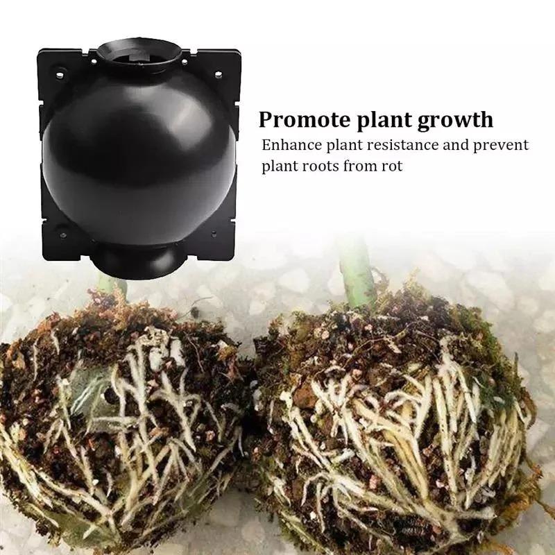 10er-Pack Veredelungsboxen für den Gartenbau, transparente Bewurzelungsstreifen, Stecklingsvermehrungswerkzeug für Obstbäume und Blumen.