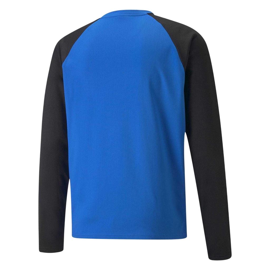 Puma Mens TeamLIGA Long-Sleeved T-Shirt