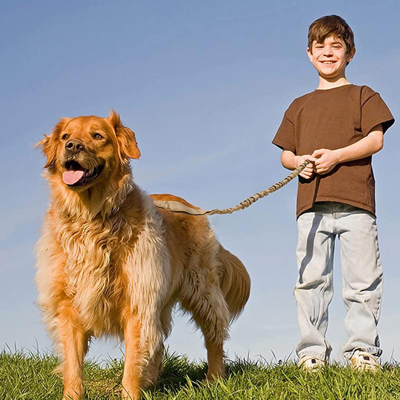 Training Police Dog Tactical Collar Leash Heavy Duty Pet Accessories for Medium Large Dogs Belgian Malinois Rottweller Collars