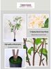 High-End Wisteria Jasmine Artificial Plants Decoration for Living Room and Entryway