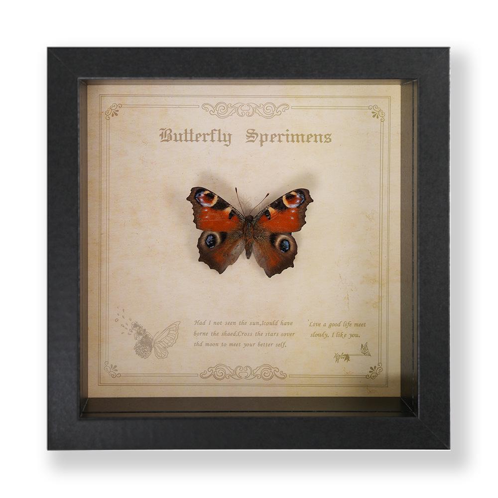 Green Banded Swallowtail Butterfly Specimen Decorative Painting - Real Insect for Display