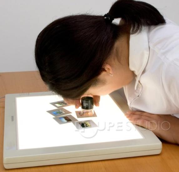 Ikeda Lens Scale Magnifier 10x SL10