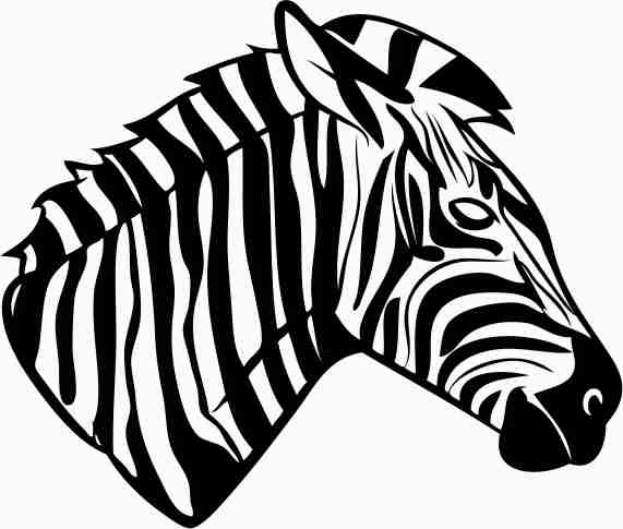 Printtoo Zebra Head Pattern Square Wooden Rubber Stamp Scrap-booking Craft Textile-3 x 3
