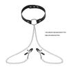 Elegant Choker with Nipple Clamps: Adult Training & Flirting Toy for Couples