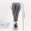 Premium Dried Lavender, 42.93cm, 100Stems. Natural decor for home, weddings & gifts. No power needed.