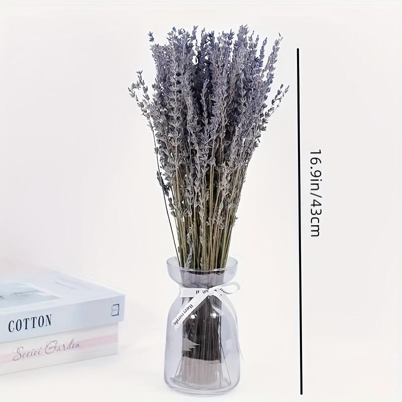 Premium Dried Lavender, 42.93cm, 100Stems. Natural decor for home, weddings & gifts. No power needed.