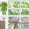 Artificial Wall Hanging Greenery: Turtle Leaf Vines with Fake Flowers for Ceiling Decor
