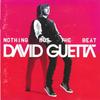 CD DAVID GUETTA Nothing But The Beat 5099967883028 Virgin 2011 Kanada Dance Electronica Gebraucht