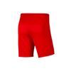 Nike Sports Shorts Men's Red Thin (Unisex) Sports Shorts BV6855 657