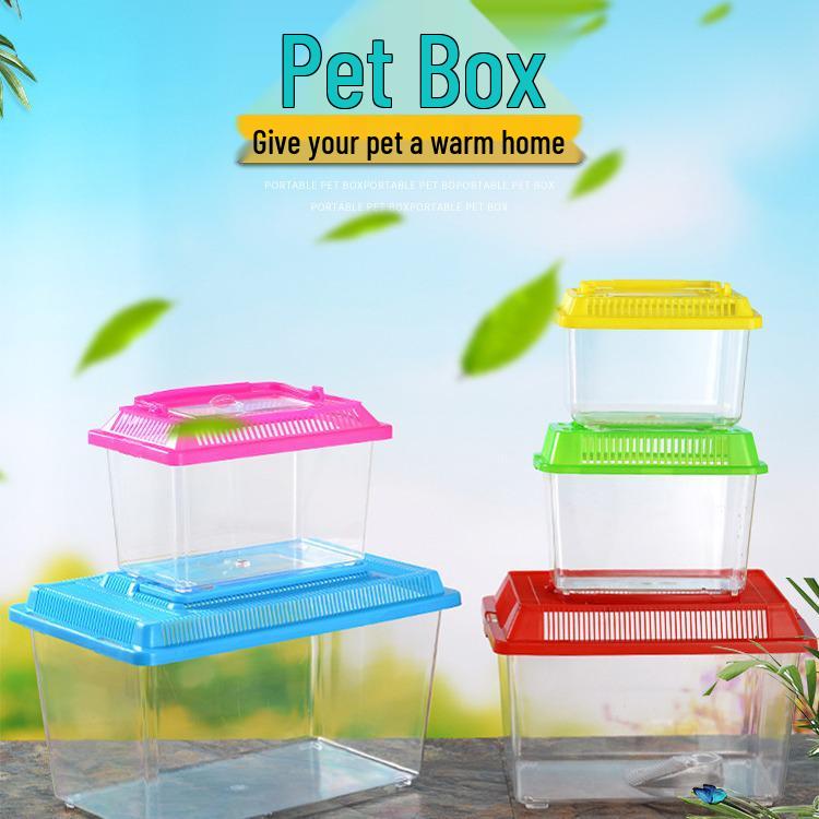 Children's Portable Transparent Pet Transport Box: Small to Large Fish/Turtle Tank