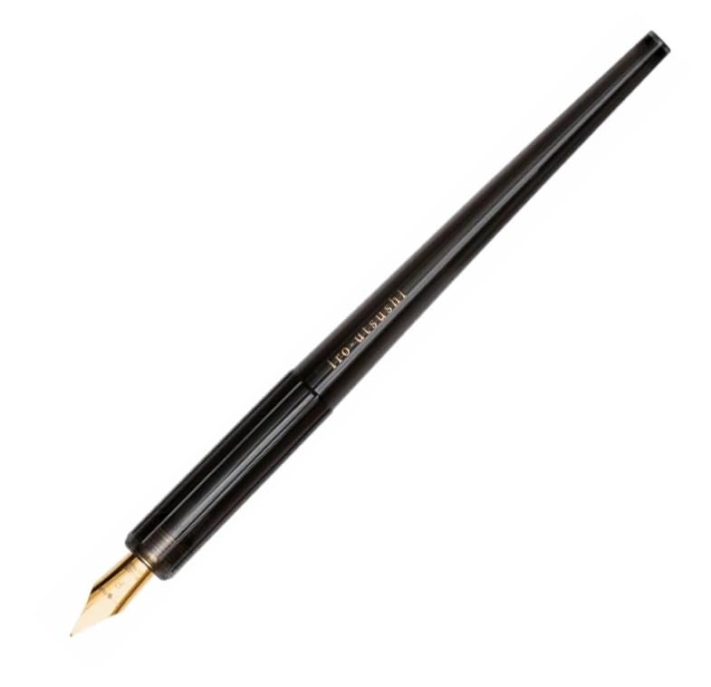 PILOT Fountain Pen Medium Iro-utsusi (Bamboo Charcoal, Nib)