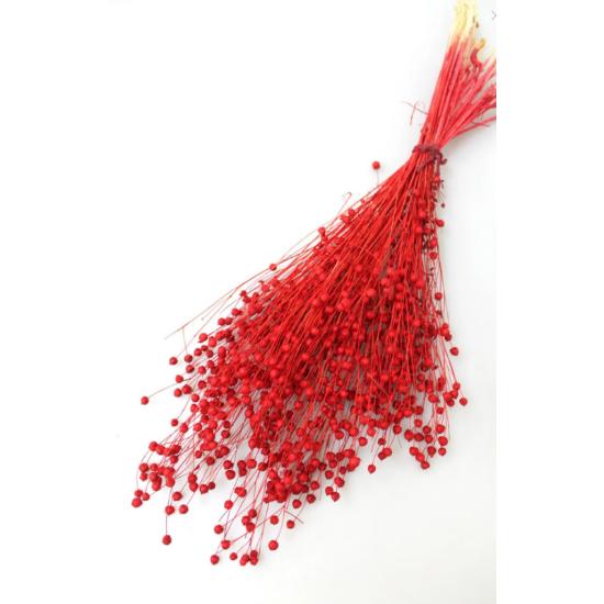 

Dried Flower Luna (linen) Herb 60 gr Red