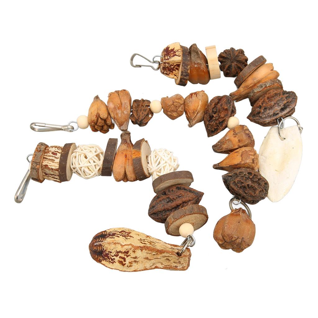 Bird Bite Toy Set Nutty Vine Ball Cuttlebone Hanging Parrot Chewing String with Stainless Steel Hooks for Birds