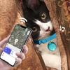 GPS Collar - Pet Location Tag For IOS Android, Smart Real-Time Tracking With Safety Elastic Buckle, Lightweight