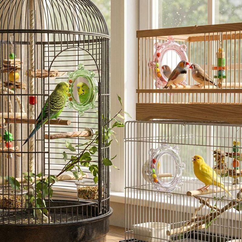 Colorful Ball Parrot Mirror Toy Wear-Resisting Bite Resistant Parrot Spinning Wheels with Bell Spinning Puzzle Bird Cage Toys