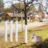 Practical 40cm Tree Bark Protector Spiral Plastic Tree Trunk Protector Tube Wraps Flexible Tree Guard Rodent Control