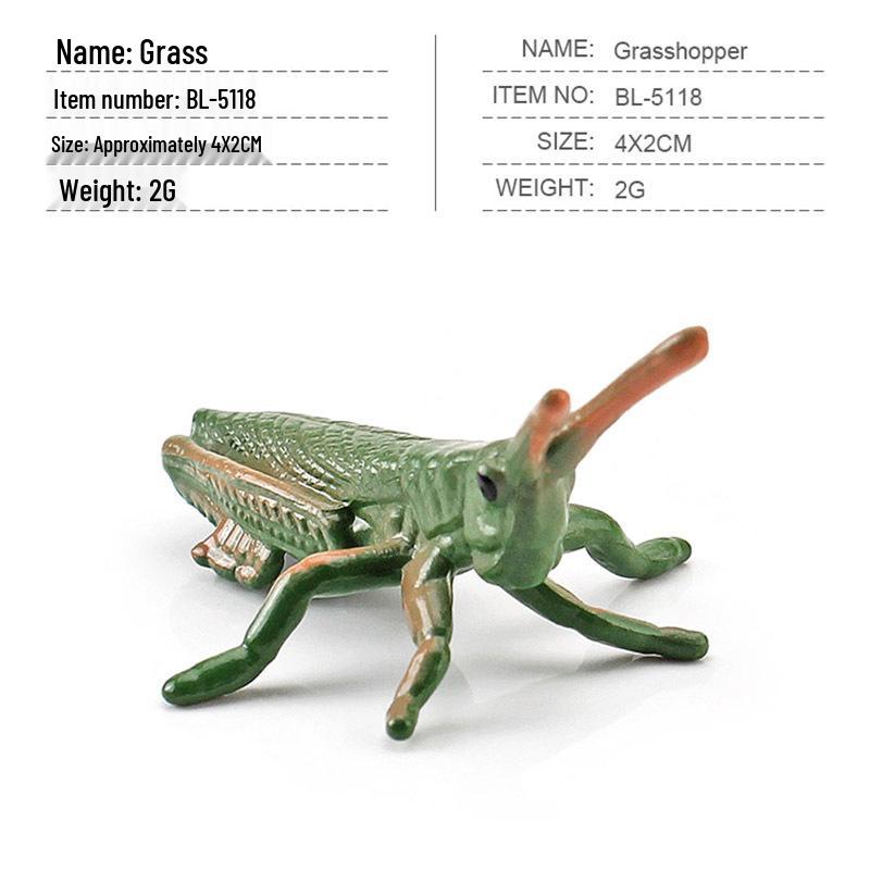 

Игрушки Модели Диких Насекомых и Животных: Жук-носорог, Божья коровка, Бабочка, Тарантул, Жук-олень Украшения