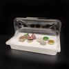 Clear Plastic Bread & Cake Display Tray with Insulated Dust Cover