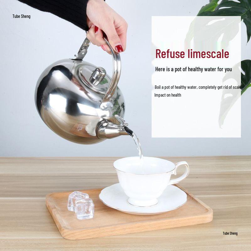 Stainless Steel Teapot with Filter for Home or Restaurant Use