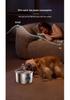 PetSmart 3.2L Stainless Steel Automatic Water Fountain & Feeder for Cats and Dogs