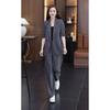 Spring New Plus Size Suit Set: Loose Fit Slimming Casual Blazer with Elastic Waist & Straight Leg Pants, Two-Piece Professional Outfit
