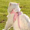 Vest-Style Puppy Leash Cat Walking Harness Teddy Bichon Bear Small Cat Chest Strap Out Cat Chain Pet Accessory