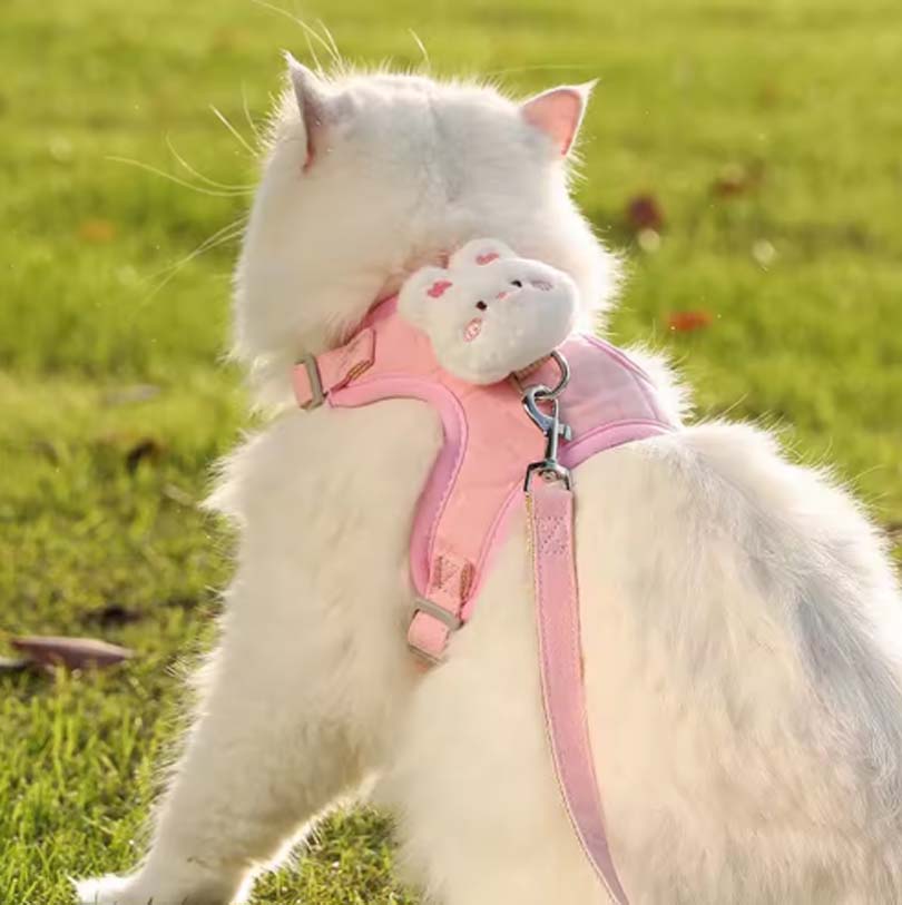 Vest-Style Puppy Leash Cat Walking Harness Teddy Bichon Bear Small Cat Chest Strap Out Cat Chain Pet Accessory