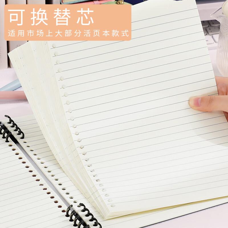 Faramon Loose-Leaf Notebook Paper Refills - 4-Pack (480 Pages)