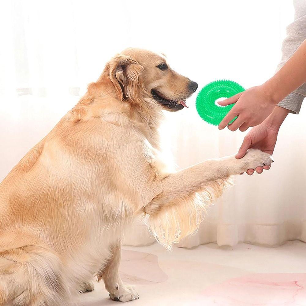 Multifunctional Dog Spiky Toy Durable Dog Teething Toy Spiky Training Ring for Small Medium Dogs