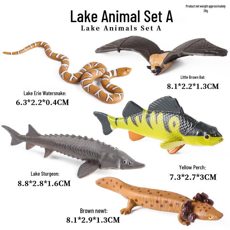 Cognitive Marine Animal Model: Tuna, Mackerel, Squid, Greenfin, and Striped Fish School