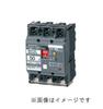 Panasonic BKW-50C Type 3P3E Earth Leakage Circuit Breaker with OC, 20A 15mA (also Serves As Overcurrent Protection) and Terminal Cover (BKW32021CCK)