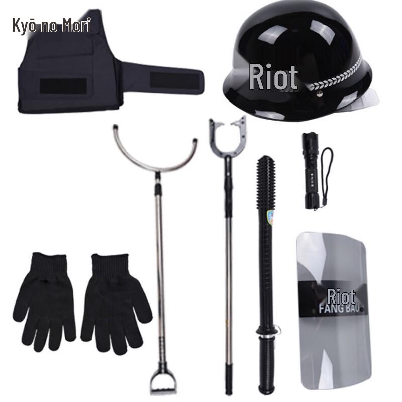 Luxury Security Riot Gear Set