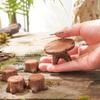 5 stuks Miniatuur Boomstronk Tuinkunst Accessoires Hars Decor Tuin Landschap Accessoires Hars Creativiteit Ambachten