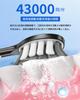 SOGUE Electric Sonic 180 Days of Wireless 5 Black Toothbrush, Vibration, Approx. Use, Charging, Modes,