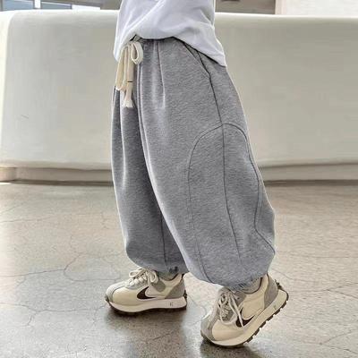 Autunno 2025 Pantaloni Harem Grigi a Gamba Larga da Ragazzo - Casual, Stile Sportivo Ampio