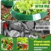 Plants Slug Protection Rings Vegetables Cover Plant Snail Collar Guard Green Planter Flower Pot Pest Control Trapper Garden Tool