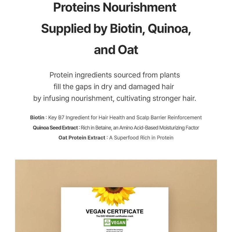 Donggubat Vegan Shampoo Bar Camellia