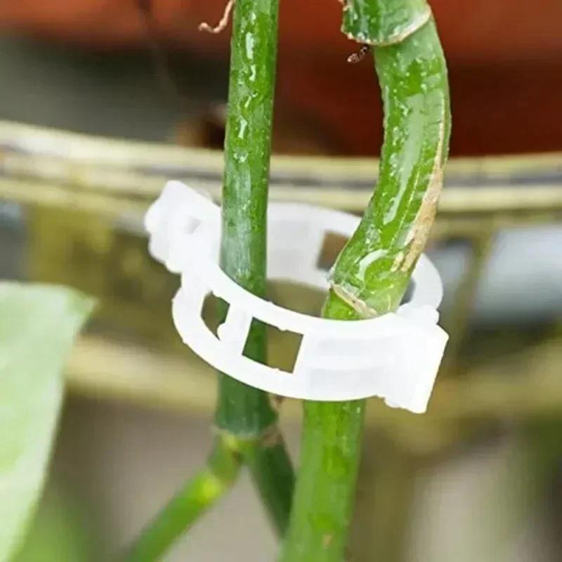 Reusable Plastic Plant Support Clips Garden Vine Strapping Fixing Clip for Climbing Tomato Grape Vegetables Stalk Holders Buckle