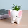 Elephant Ceramic Succulent Pot - Cute Desktop Animal Ornament