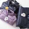 Lightweight High-Puffiness Cold-Proof Jacket for Autumn and Winter, Unisex Couple Style, Stand Collar, Warm Coat for Export to Europe and America