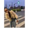 Autumn and Winter Fur Women's Short New Imitation Fox Fur Net Celebrity Young Winter Fur Short Coat