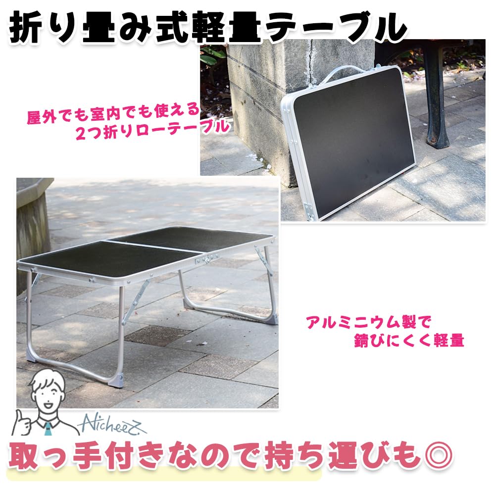 Nicheez Low Table Outdoor Camping Table Foldable Lightweight Black 2-fold