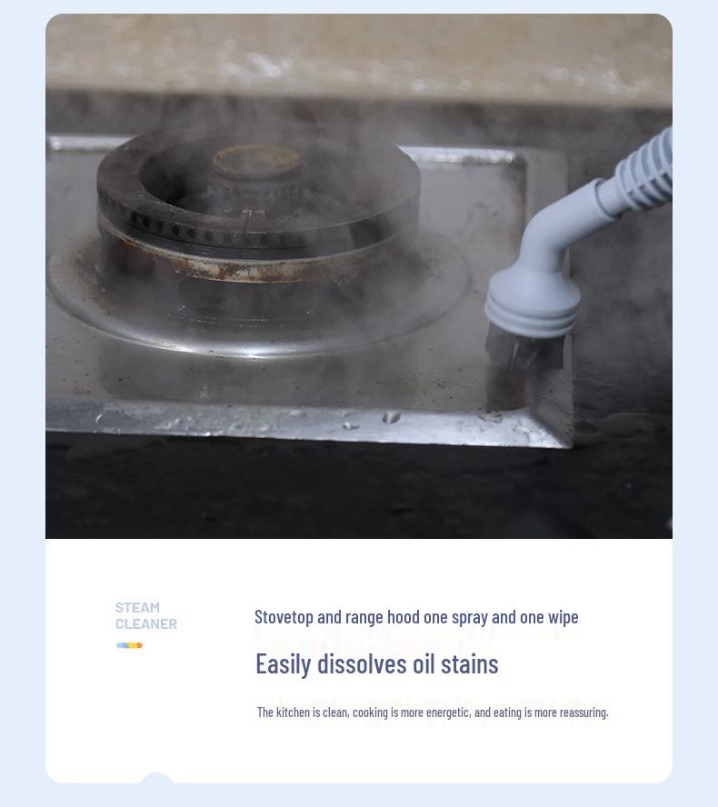 Jinzheng Multifunctional High-Pressure Steam Cleaner for Kitchen and Range Hood Disinfection