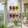Wall Mounted Succulents Stands Window Suction Cup Storage Rack, Clear Acrylic Shelf with Strong Adsorption Shelves Adsorption, Floating Plant