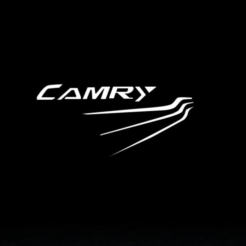 

2 шт./4 шт. Светодиодные приветственные огни для дверей, подходят для Toyota Camry Cinema Land Cruiser Highlander Reiz Avalon, проекционные огни для дверей 2Pcs