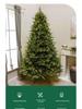 2025 High-End Luminous PE Christmas Tree: Encrypted Bare Tree for Elegant Home Decoration
