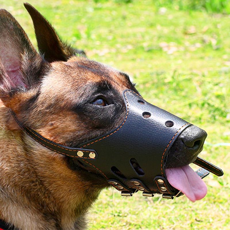 leather muzzle