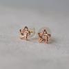RookieStar 14k Mini Star Earrings R1rreg003