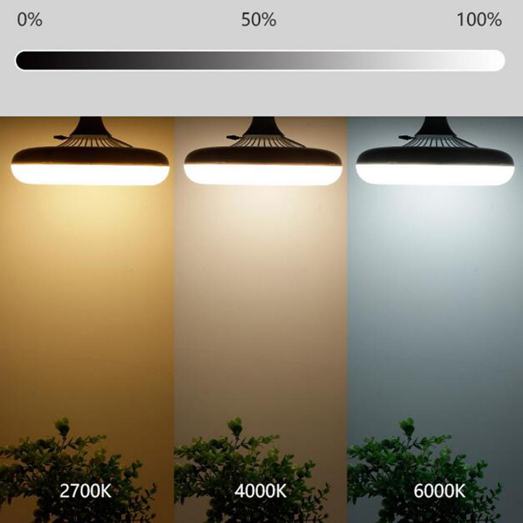 Ceiling Fan with Lights Cooling Fan Light Decor Ceiling Light with Fan White 30W